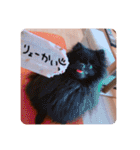 るんろーこむあずの毎日（個別スタンプ：38）