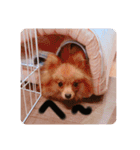 るんろーこむあずの毎日（個別スタンプ：39）