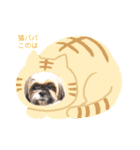 シーズーこのはデラックスのスタンプ其の1（個別スタンプ：8）