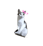 オクニとエンジェ（個別スタンプ：1）