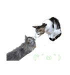 オクニとエンジェ（個別スタンプ：6）