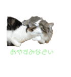 オクニとエンジェ（個別スタンプ：7）