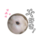 だいふくくん4（個別スタンプ：1）