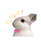 だいふくくん4（個別スタンプ：2）