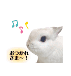だいふくくん4（個別スタンプ：5）