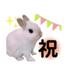 だいふくくん4（個別スタンプ：6）