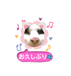 まるこ12（個別スタンプ：1）
