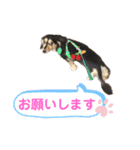 まるこ12（個別スタンプ：3）