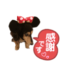 まるこ12（個別スタンプ：4）