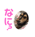 まるこ12（個別スタンプ：5）