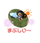 まるこ12（個別スタンプ：9）