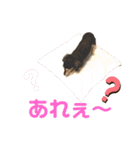 まるこ12（個別スタンプ：13）