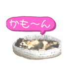 まるこ12（個別スタンプ：14）