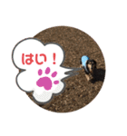 まるこ12（個別スタンプ：17）