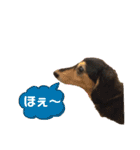 まるこ12（個別スタンプ：19）