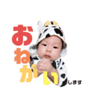 ここ たん（個別スタンプ：1）