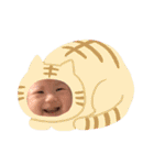 ここ たん（個別スタンプ：12）