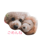 kuri1234s（個別スタンプ：3）