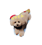kuri1234s（個別スタンプ：5）