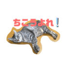 すぽんぷっ（個別スタンプ：7）