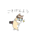 それゆけコーギー！（個別スタンプ：1）