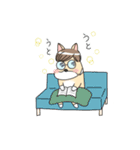 それゆけコーギー！（個別スタンプ：30）