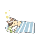 それゆけコーギー！（個別スタンプ：31）