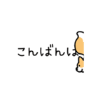 コーギーのお願い（日常よく使う言葉）（個別スタンプ：3）