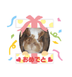 ロップイヤー王女ムム☆Part2（個別スタンプ：2）