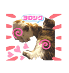 ロップイヤー王女ムム☆Part2（個別スタンプ：8）