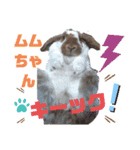 ロップイヤー王女ムム☆Part2（個別スタンプ：14）