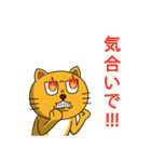 ねこきちの爆誕（個別スタンプ：10）