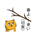 ねこきちの爆誕（個別スタンプ：16）