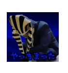 社畜ファラ夫（個別スタンプ：11）