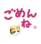 でか文字挨拶（ねこ写真入り）（個別スタンプ：24）