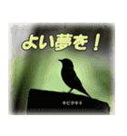 野鳥の写真スタンプ（個別スタンプ：13）