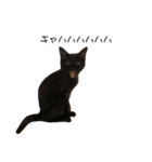 大阪の黒猫ちゃん（個別スタンプ：10）