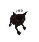 大阪の黒猫ちゃん（個別スタンプ：11）