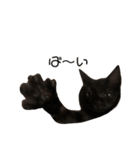 大阪の黒猫ちゃん（個別スタンプ：12）