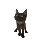 大阪の黒猫ちゃん（個別スタンプ：16）