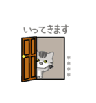 あめにゃんのカスタムスタンプ（個別スタンプ：12）