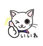 日常で使えるクランカーキャットのスタンプ（個別スタンプ：14）