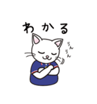 日常で使えるクランカーキャットのスタンプ（個別スタンプ：19）