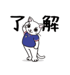 日常で使えるクランカーキャットのスタンプ（個別スタンプ：21）