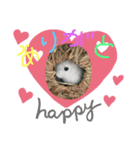 ウサギーず 日常 ① byNuts（個別スタンプ：1）