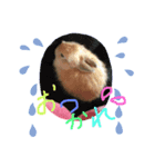 ウサギーず 日常 ① byNuts（個別スタンプ：2）