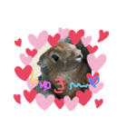 ウサギーず 日常 ① byNuts（個別スタンプ：3）
