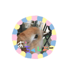 ウサギーず 日常 ① byNuts（個別スタンプ：4）