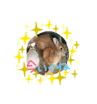 ウサギーず 日常 ① byNuts（個別スタンプ：6）