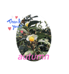 Japanese autumn  thank you stanp（個別スタンプ：5）